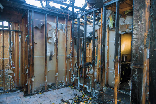 Professional Fire Damage Assessment technician working in Phillipsburg, GA